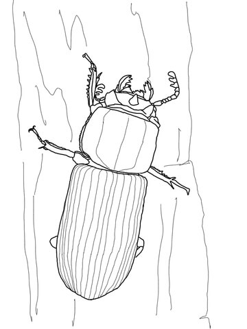 Bess Beetle Coloring Page